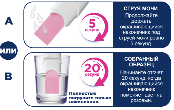 Как проводить тест на беременность