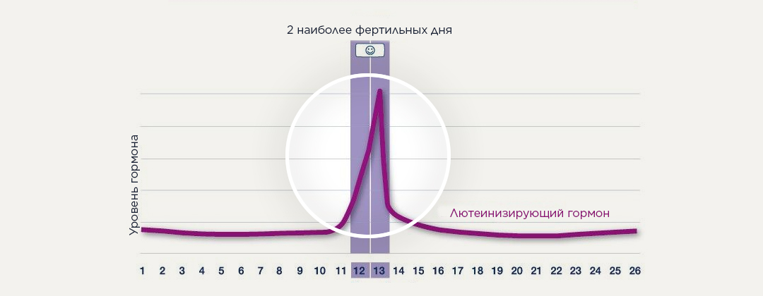 Показывает 2 дня наибольшей фертильности